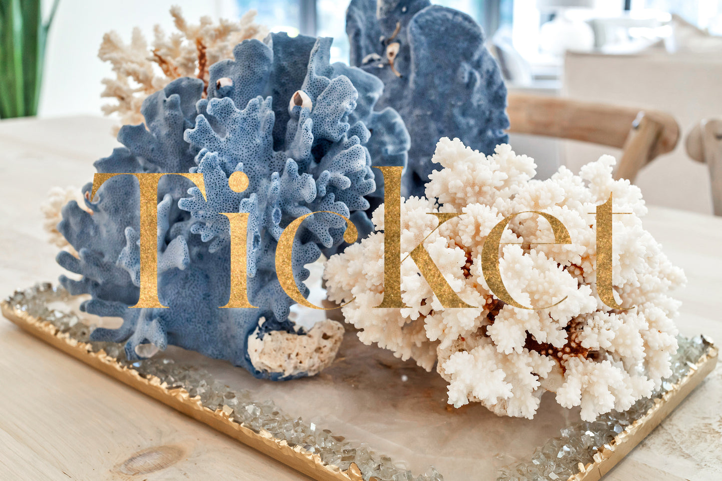 Ticket - DO NOT Purchase if purchasing room